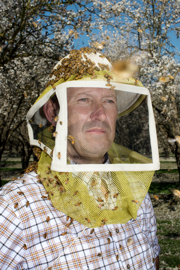 Since 1908 - Colorado's Oldest Honey Company - Beeyond the Hive